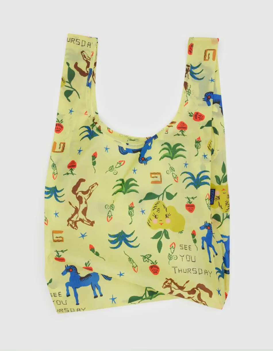 Standard Baggu | Painted prairie