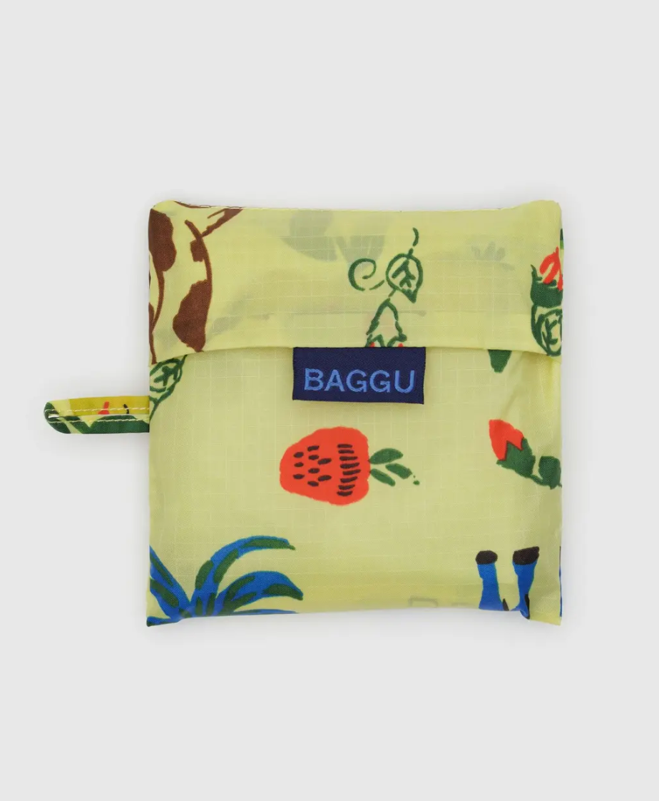 Standard Baggu | Painted prairie