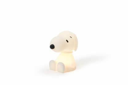 Snoopy bundle of light