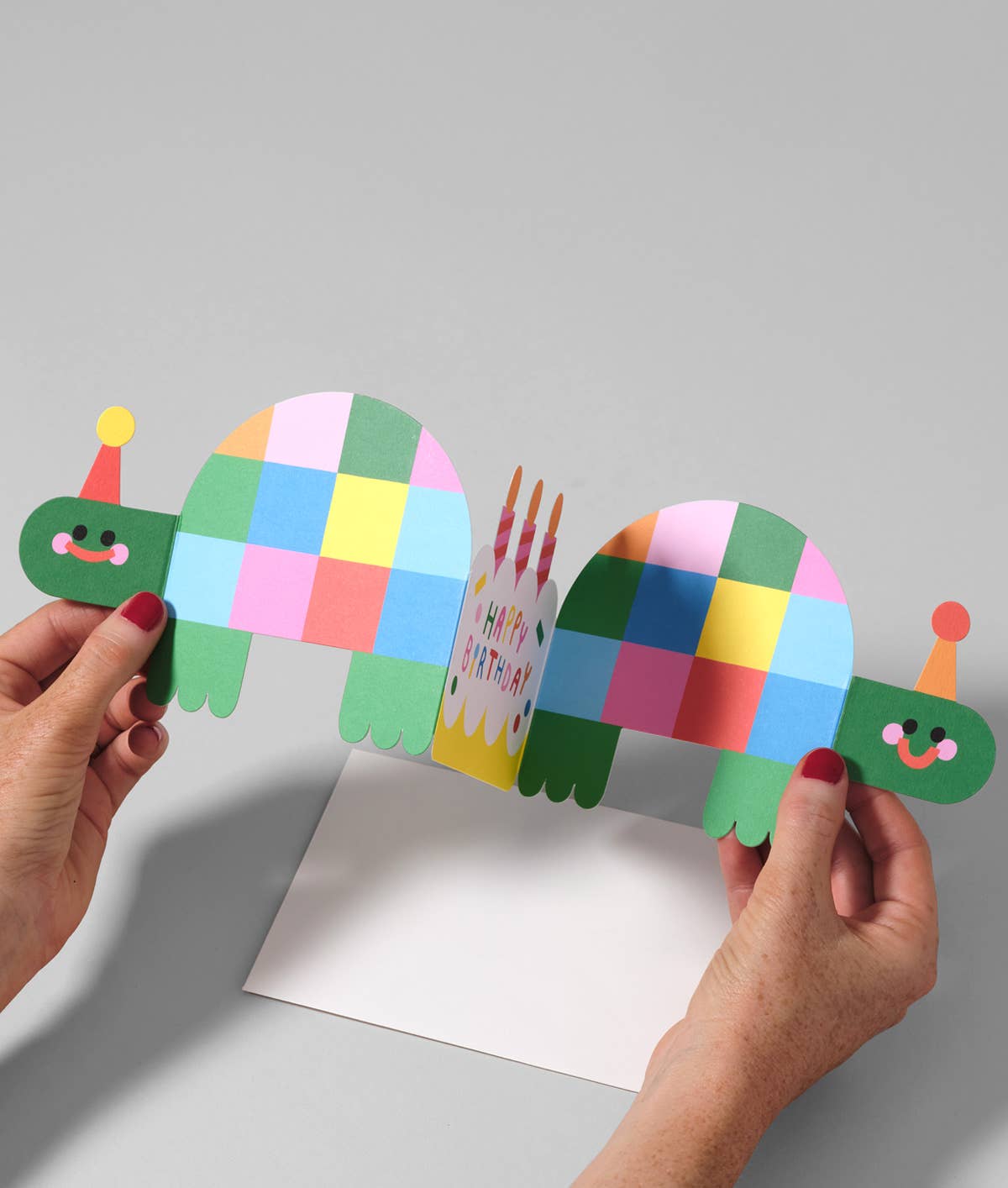 Birthday Tortoises Fold Out Card