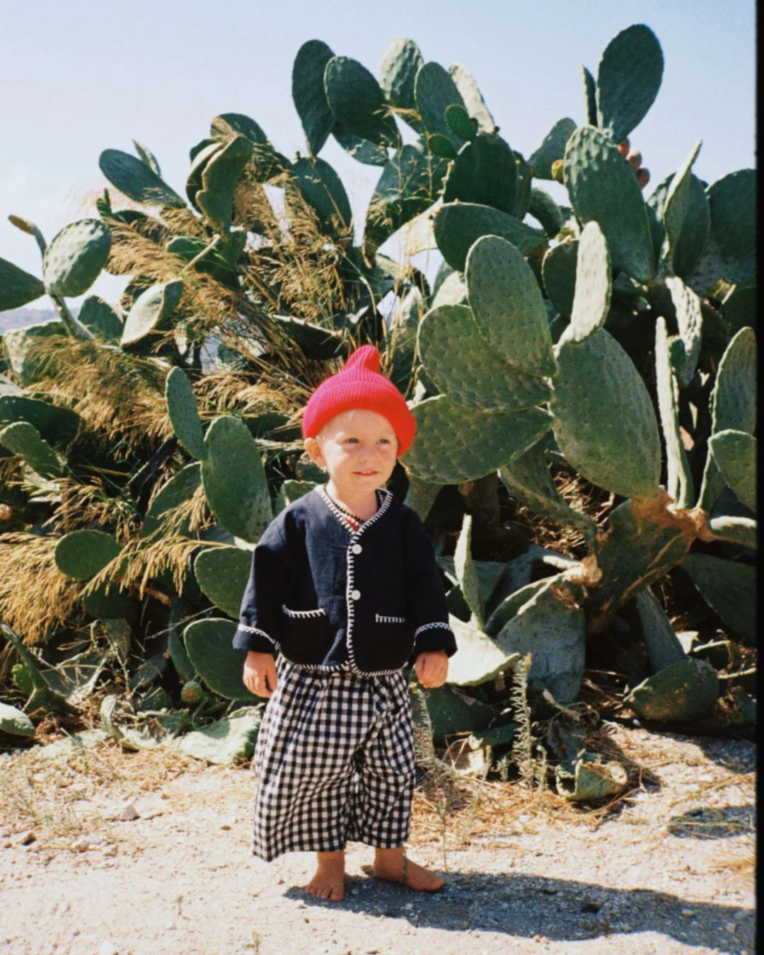 Little foxy cropped jacket | navy