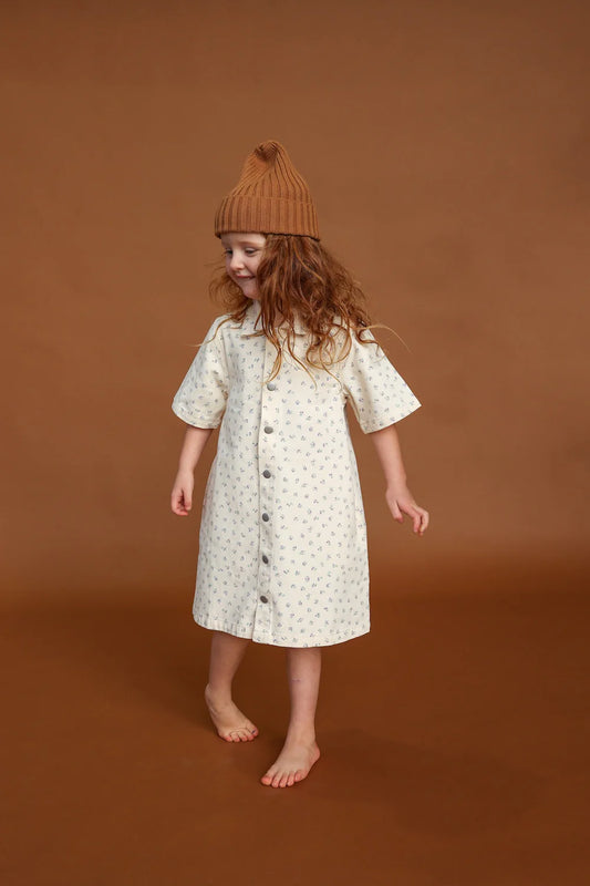 Collar dress | garden